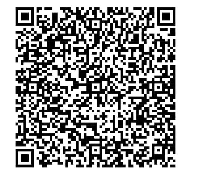 Google Pay QR